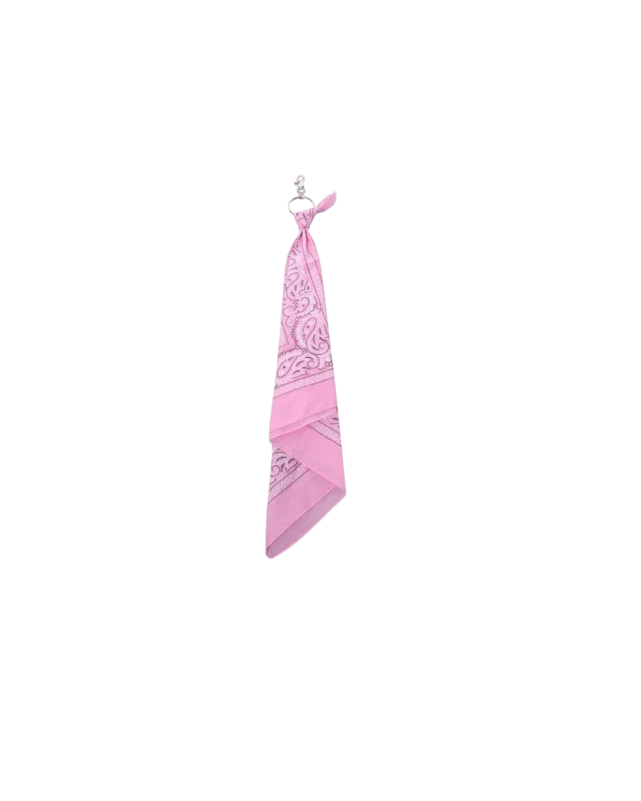 Multi-Color Paisley Bandana Layered Streetwear and Hip-Hop - Image 10