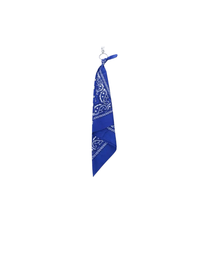 Multi-Color Paisley Bandana Layered Streetwear and Hip-Hop - Image 13