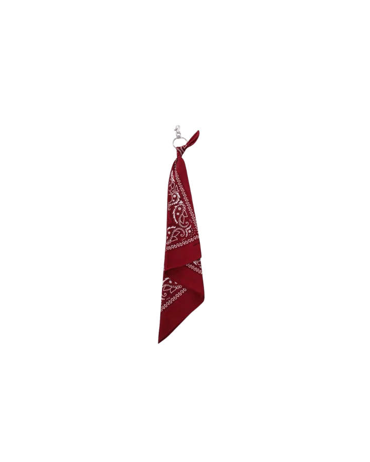 Multi-Color Paisley Bandana Layered Streetwear and Hip-Hop - Image 14